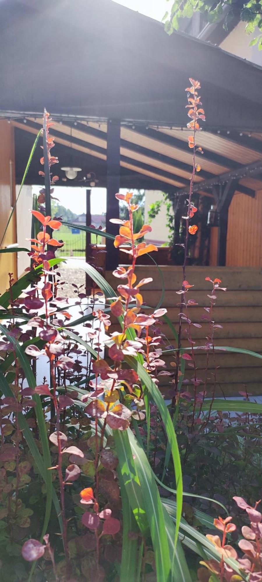 Ferienwohnung Privát Voyage Liptovský Mikuláš Exterior foto